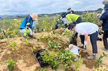 「鎮守の森」プロジェクトの植樹ボランティア活動